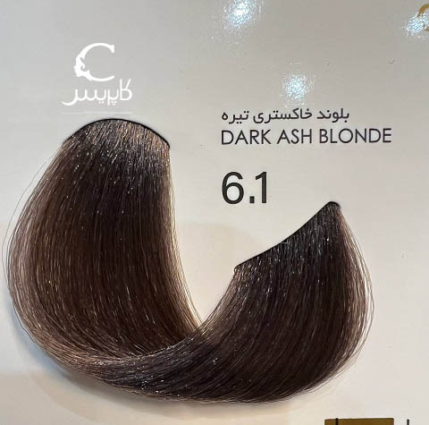 پیکشن 6.1(بلوندخاکستری تیره)